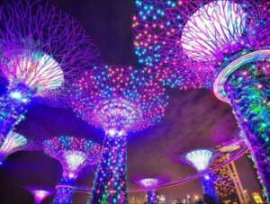 UNESCO designates 66 new Creative Cities